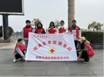 马踏新程路，实践显担当(图7)